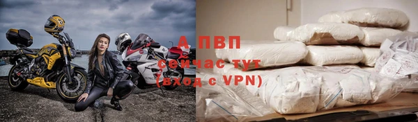 дживик Инта