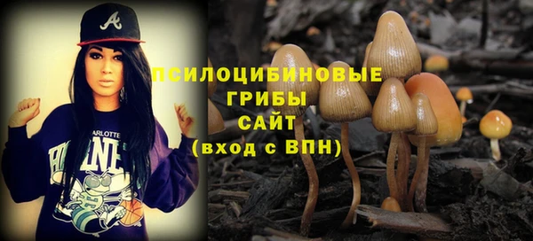 гашик Зеленокумск