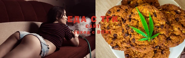 гашик Зеленокумск
