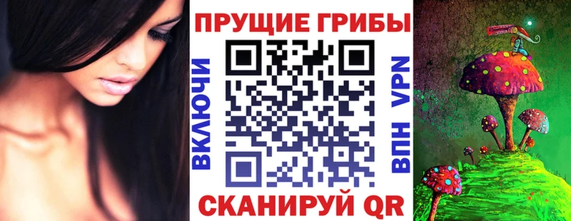 Купить закладки  Сольвычегодск  Галлюциногенные грибы MAGIC MUSHROOMS 